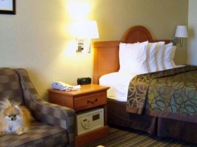 Western Of Hotel 3*